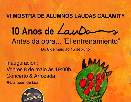 VI Mostra de Alumnos Laudas Calamity