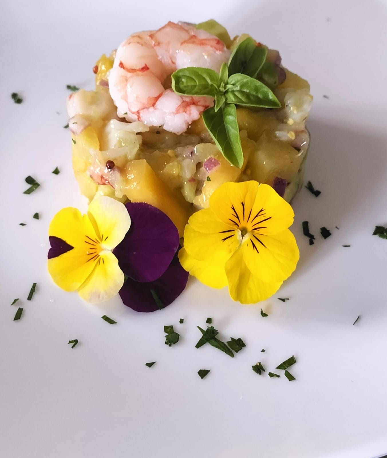 XVI Concurso de Tapas de Fene