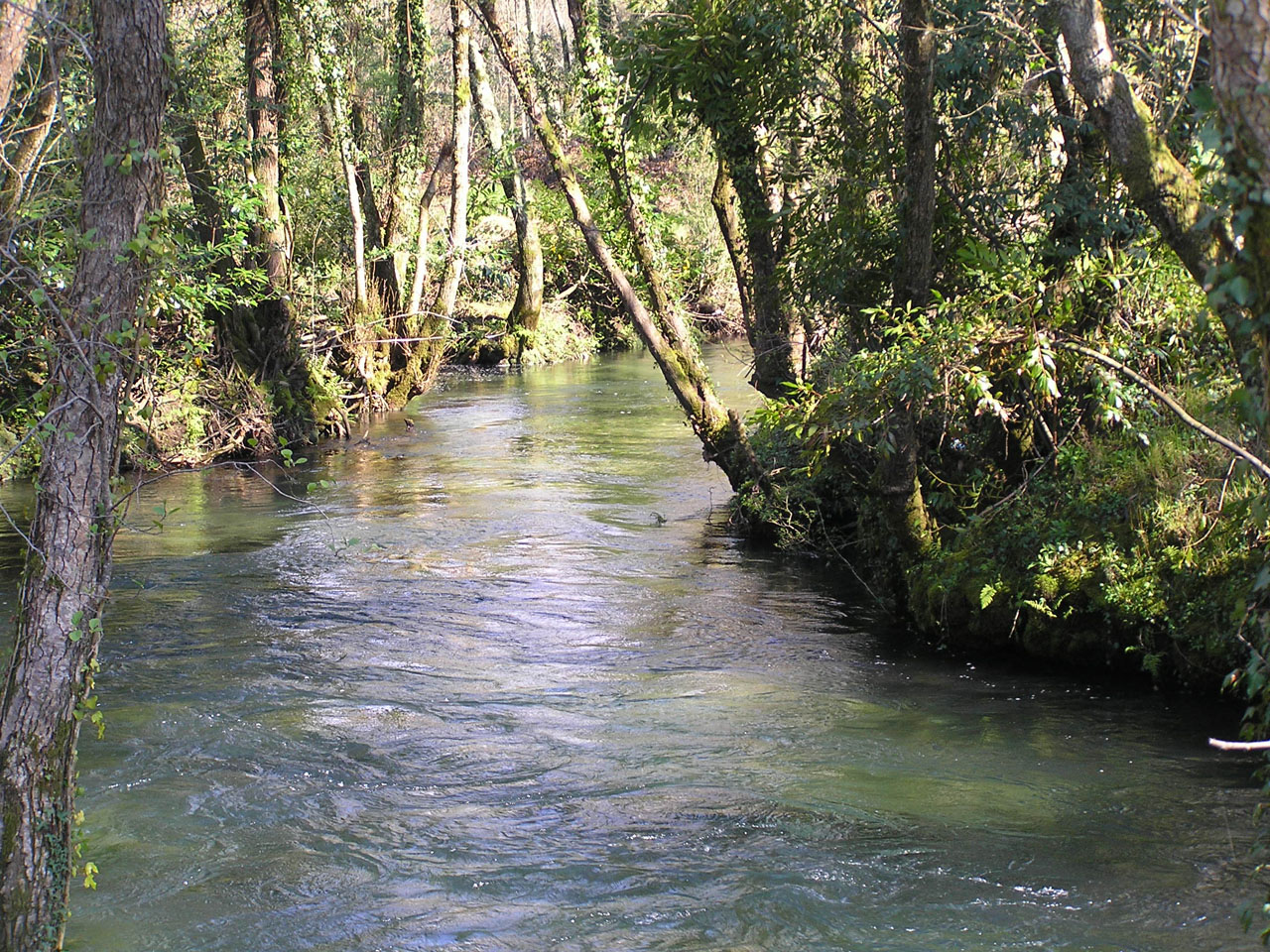 O Río Belelle